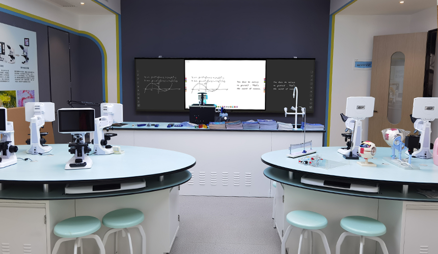 智慧91视频黄色版